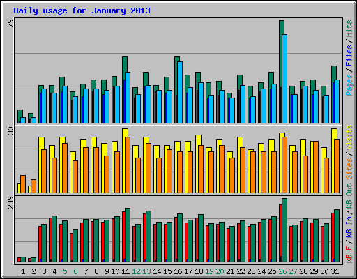 Daily usage for January 2013