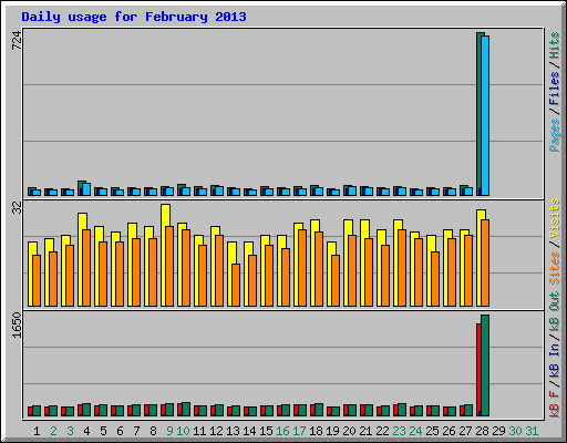 Daily usage for February 2013