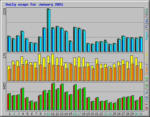 Daily usage for January 2021