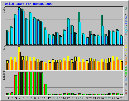 Daily usage for August 2022