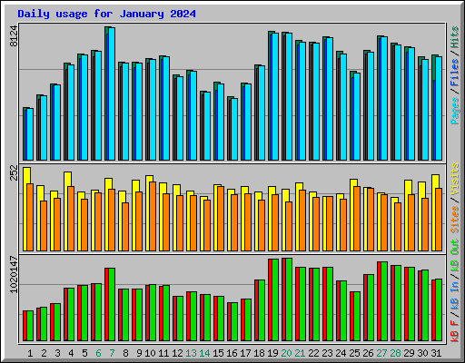 Daily usage for January 2024