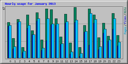 Hourly usage for January 2013