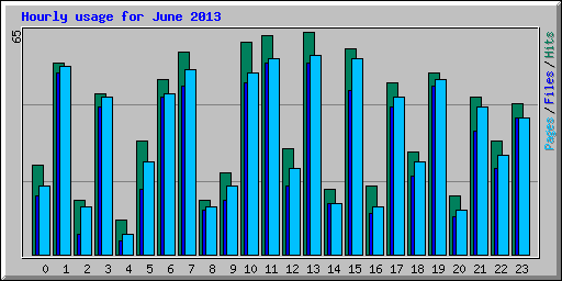 Hourly usage for June 2013