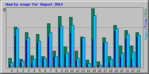 Hourly usage for August 2013
