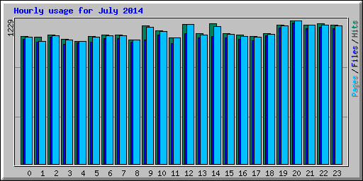 Hourly usage for July 2014