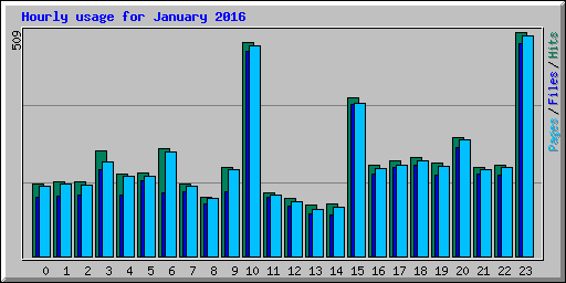 Hourly usage for January 2016