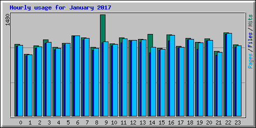 Hourly usage for January 2017