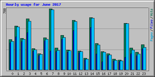 Hourly usage for June 2017