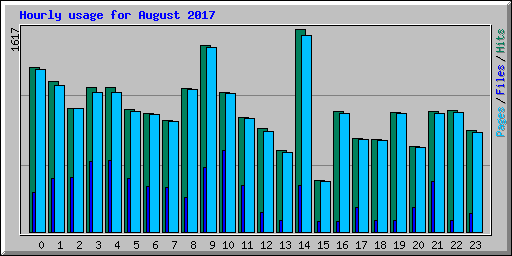 Hourly usage for August 2017