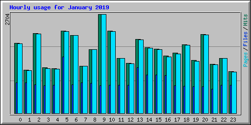 Hourly usage for January 2019