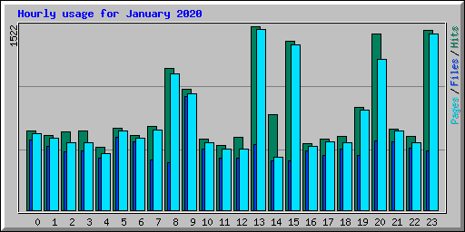 Hourly usage for January 2020