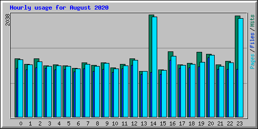 Hourly usage for August 2020