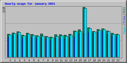 Hourly usage for January 2021