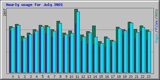 Hourly usage for July 2021