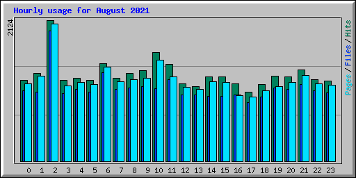 Hourly usage for August 2021