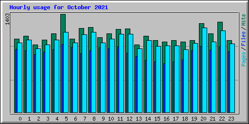 Hourly usage for October 2021