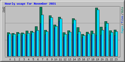 Hourly usage for November 2021