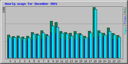 Hourly usage for December 2021