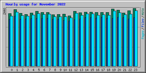 Hourly usage for November 2022