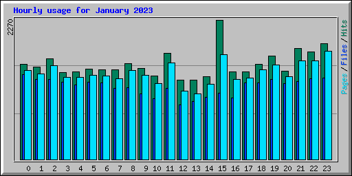 Hourly usage for January 2023
