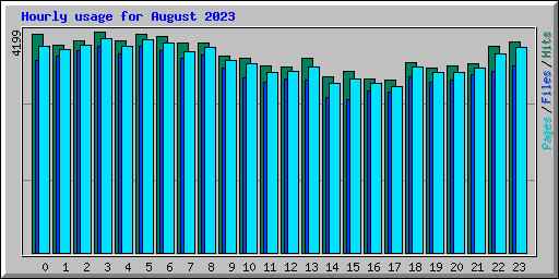 Hourly usage for August 2023