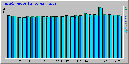 Hourly usage for January 2024