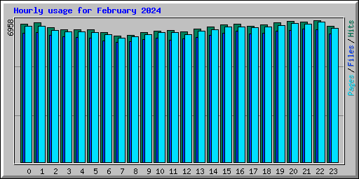 Hourly usage for February 2024