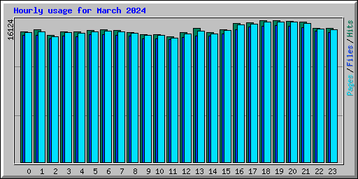 Hourly usage for March 2024