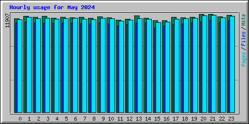 Hourly usage for May 2024