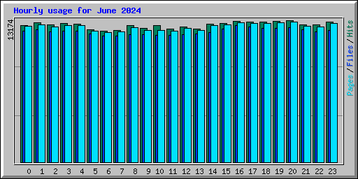 Hourly usage for June 2024