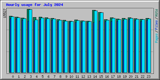 Hourly usage for July 2024