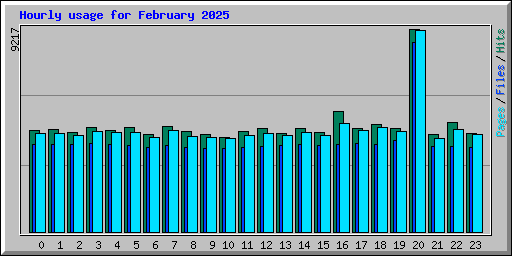Hourly usage for February 2025