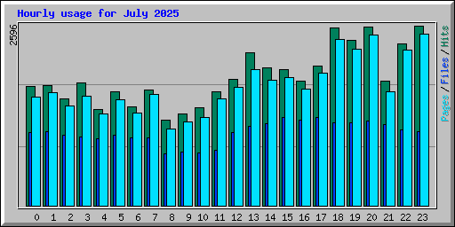 Hourly usage for July 2025