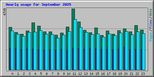 Hourly usage for September 2025