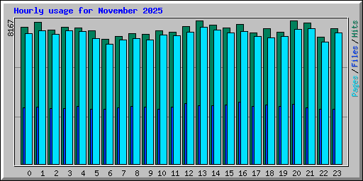 Hourly usage for November 2025