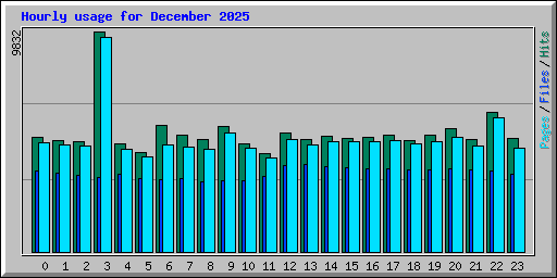 Hourly usage for December 2025