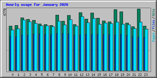 Hourly usage for January 2026