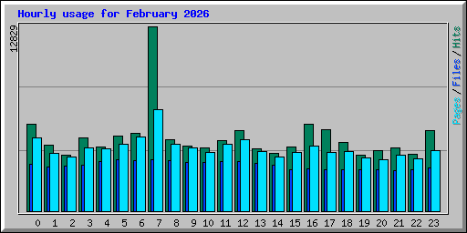 Hourly usage for February 2026