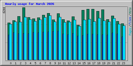 Hourly usage for March 2026