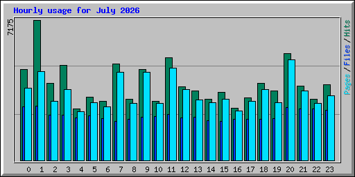Hourly usage for July 2026